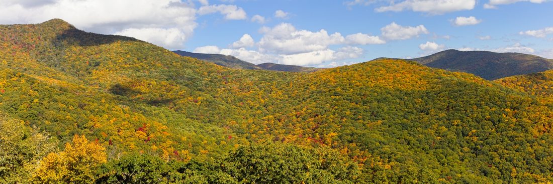Panoramic rolling Blue Ridge slopes scattered with early autumn color under a soft cloud-dappled sky