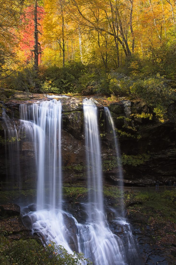 Twin silken waterfalls plunging over cliff beneath glowing golden autumn canopy